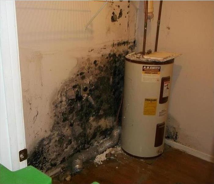 mold blackened wall, water damage, water heater