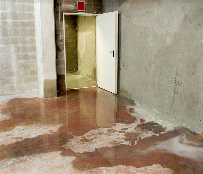 puddles on the floor of a basement